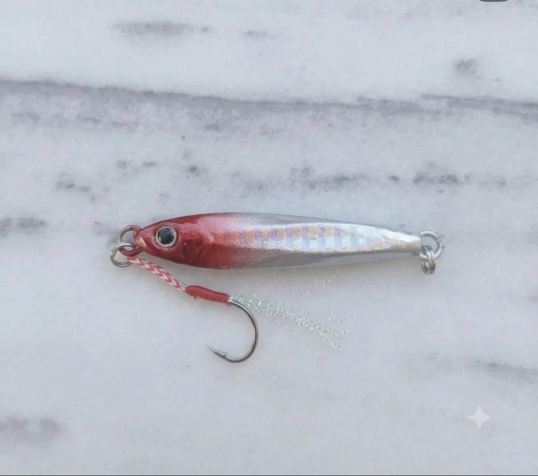 Shore Jigging & Spin Jig Seti 